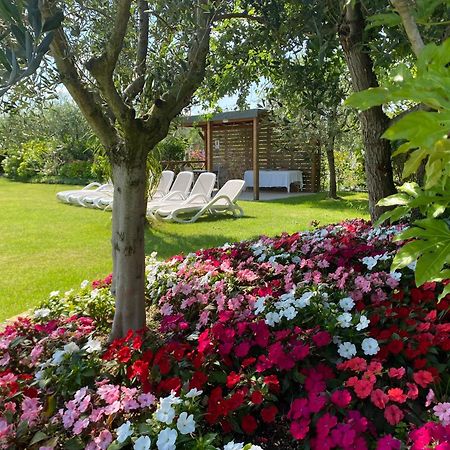 Agricampeggio Oasi Del Garda ラツィーゼ エクステリア 写真