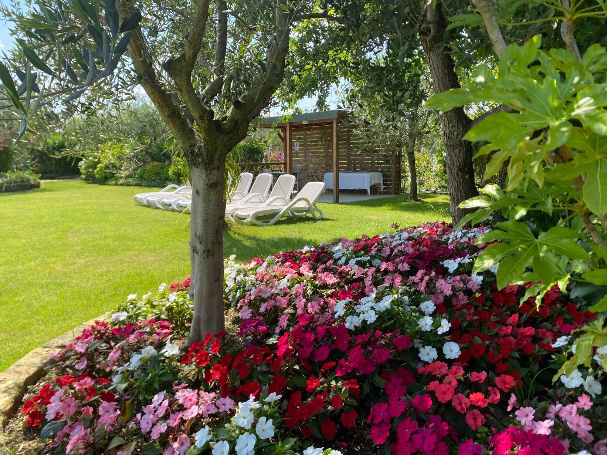 Agricampeggio Oasi Del Garda ラツィーゼ エクステリア 写真