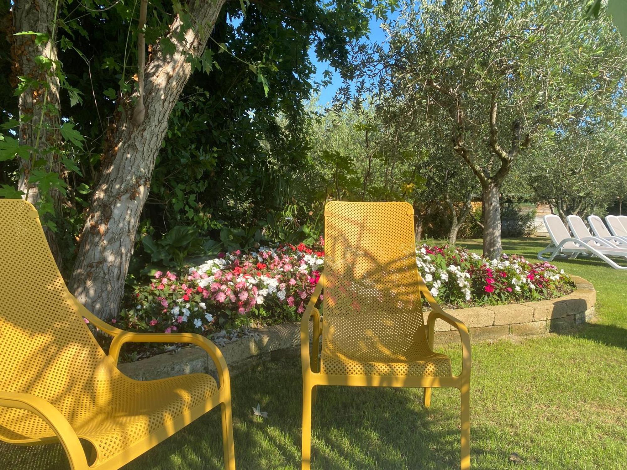 Agricampeggio Oasi Del Garda ラツィーゼ エクステリア 写真